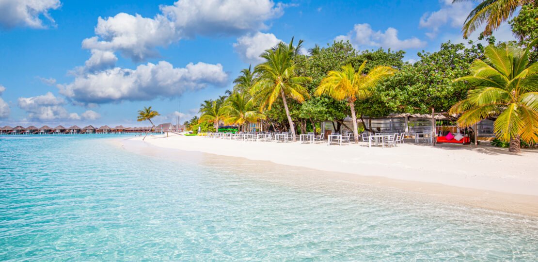 vecteezy_paradise-beach-resort-with-palm-trees-and-straw-umbrellas_8009793